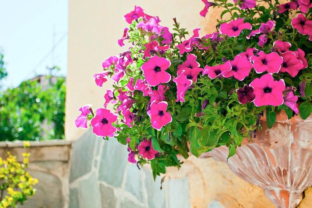Thymis Home Skiathos Town Exterior photo