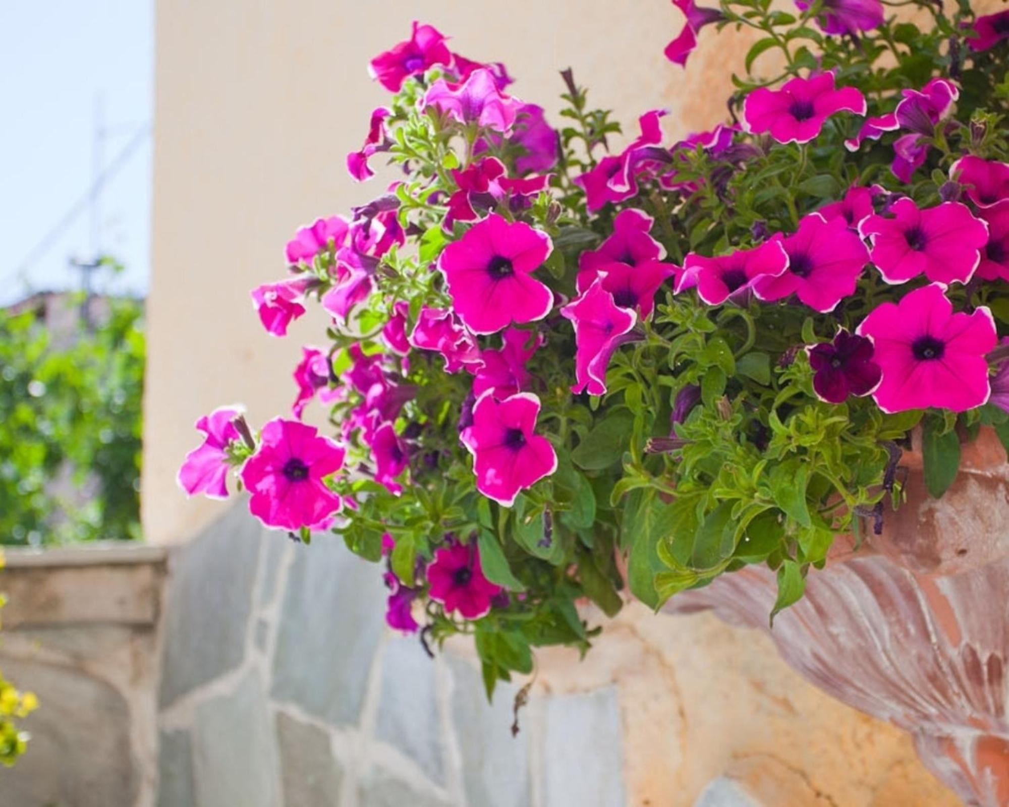 Thymis Home Skiathos Town Exterior photo